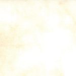 108" Primitive Muslin Tallow 11070 21 Moda