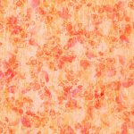 Sienna–Peach–RK Studio